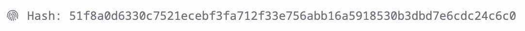 Prompt fingerprint